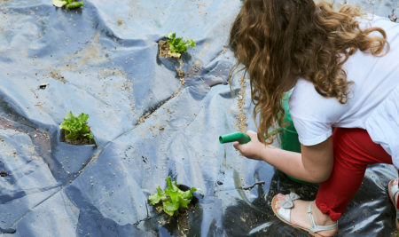 Progetto Micoltivo – curiamo l’orto nel giardino della scuola!